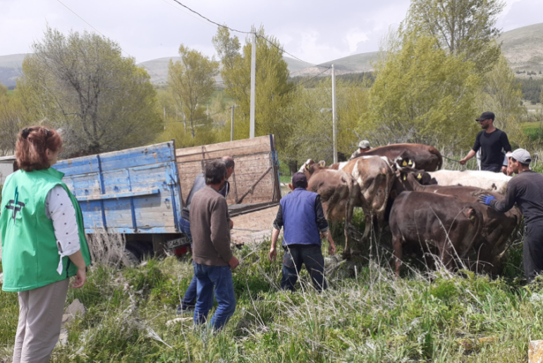 In der nordarmenischen Region Schirak ist die Infrastruktur nur gering ausgebildet, und auch Landwirtschaft ist schwierig. Tierzucht hat dort dagegen eine lange Tradition.
