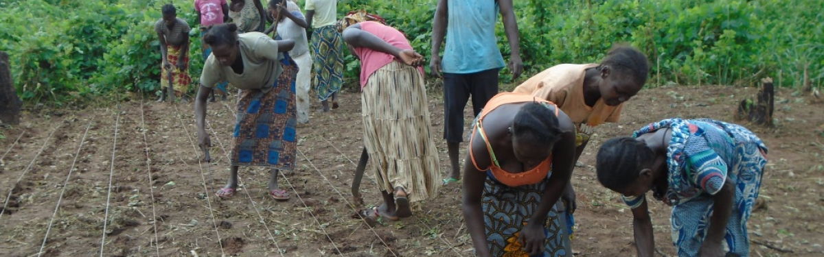 Viele Menschen in der DR Kongo haben aufgrund der schwierigen Lebensumstände im Land nie gelernt, Felder ertragreich zu bestellen. Deshalb ermöglichen wir den Dorfbewohnern Schulungen im Anbau von Gemüse.